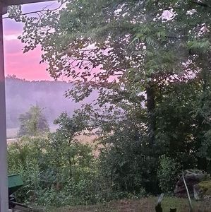 Meet your Posher, Ellen